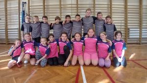 Miniaturka: Gminne zawody w Dwa ognie
